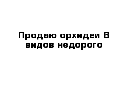 Продаю орхидеи 6 видов недорого